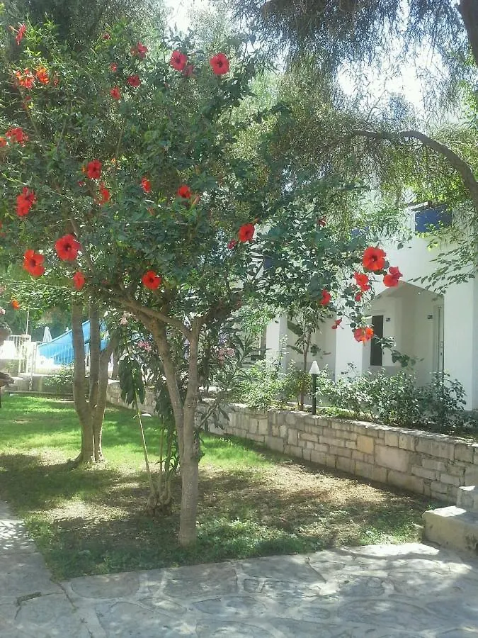 ***  Tenda Hotel Αλικαρνασσός Τουρκία